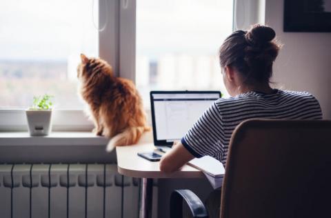 Working remotely